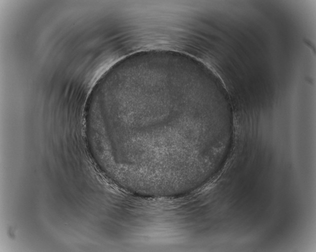 X0000102340879200808221628