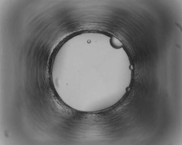 X0000102340880200808221628