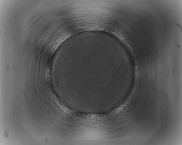 X0000102340881200808221628