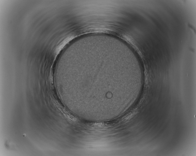 X0000102340883200808221628