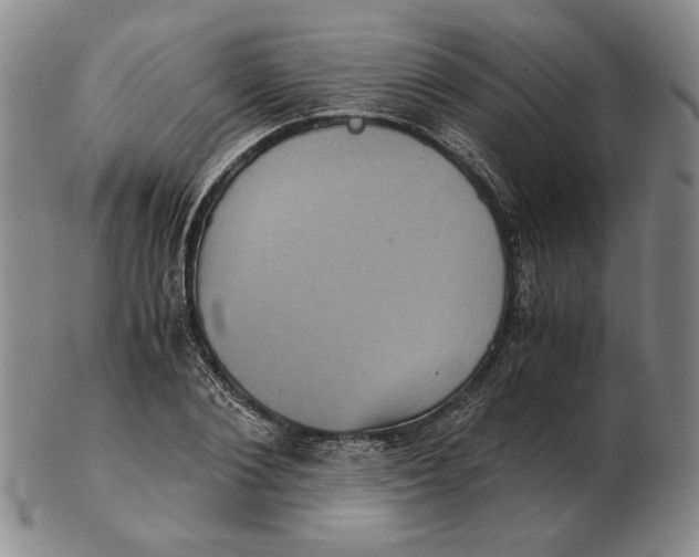 X0000102340884200808221628