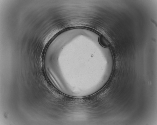 X0000102340885200808221628