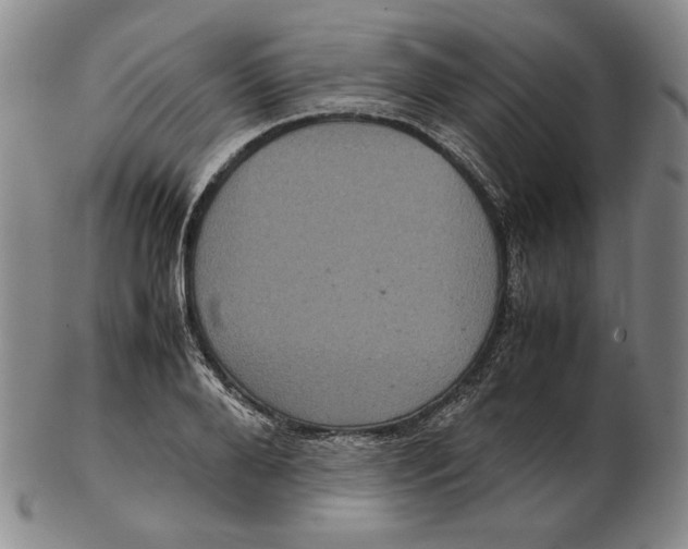 X0000102340888200808221628