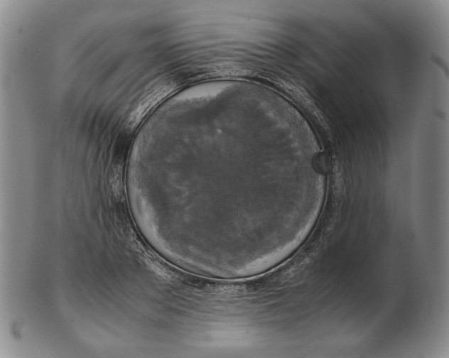 X0000102340889200808221628