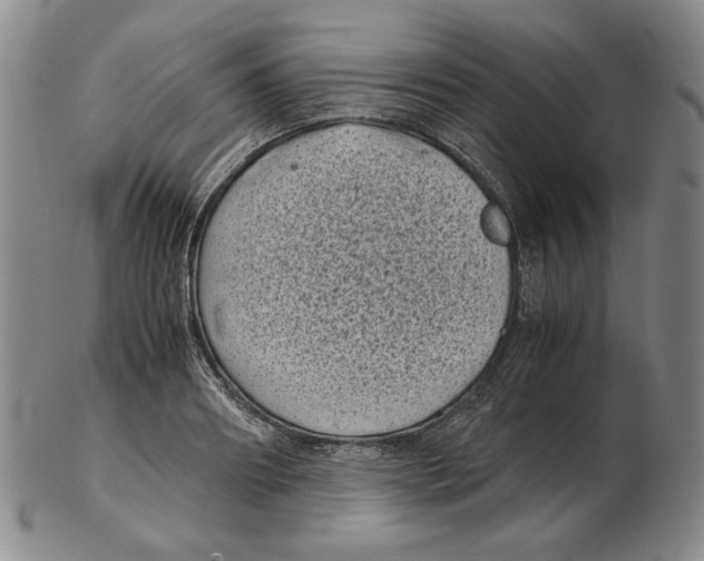 X0000102340890200808221628