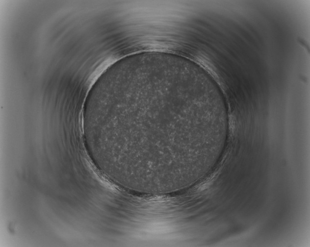 X0000102340891200808221628