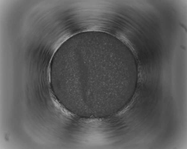 X0000102340892200808221628