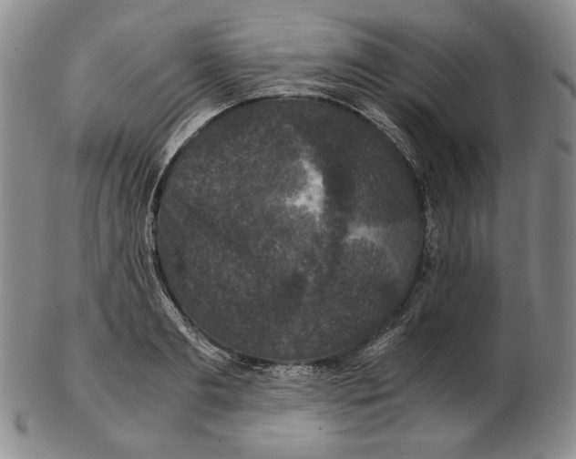 X0000102340893200808221628