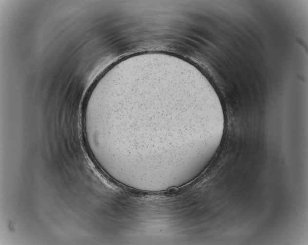 X0000102340894200808221628