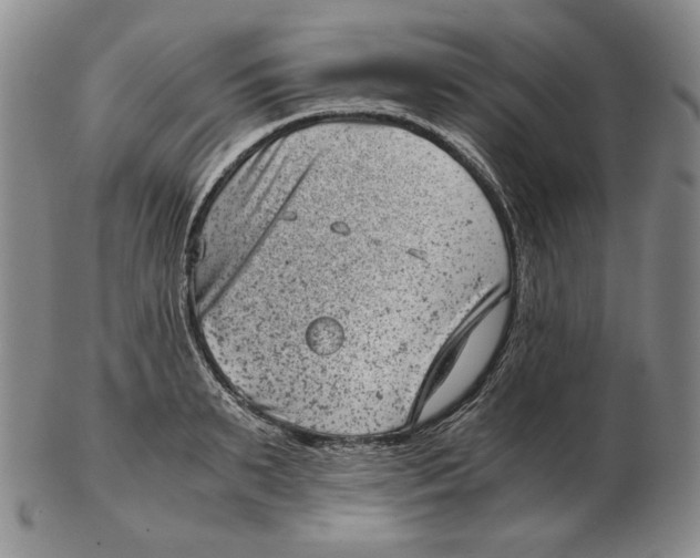 X0000102340895200808221628