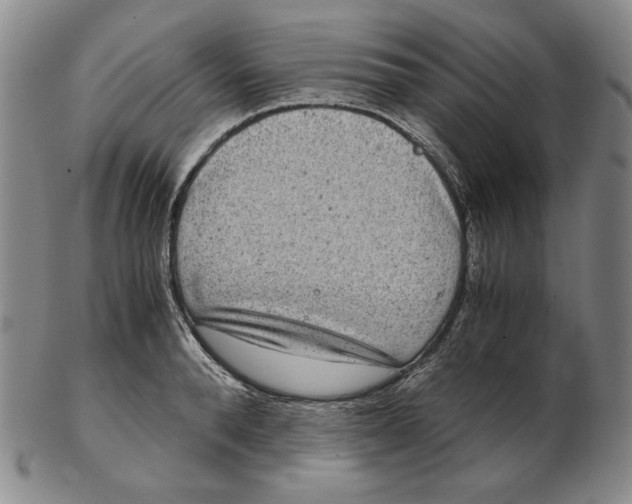 X0000102340896200808221628