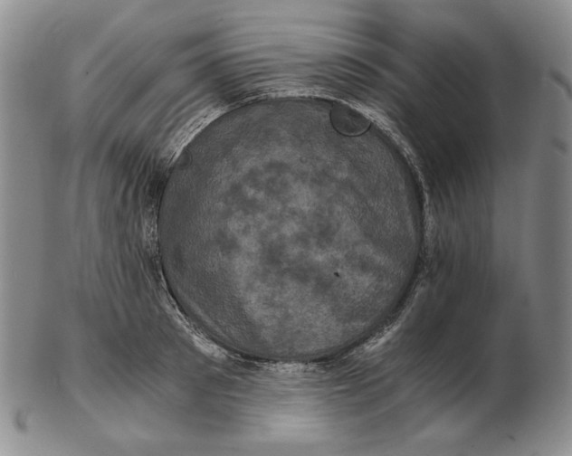 X0000102340897200808221628