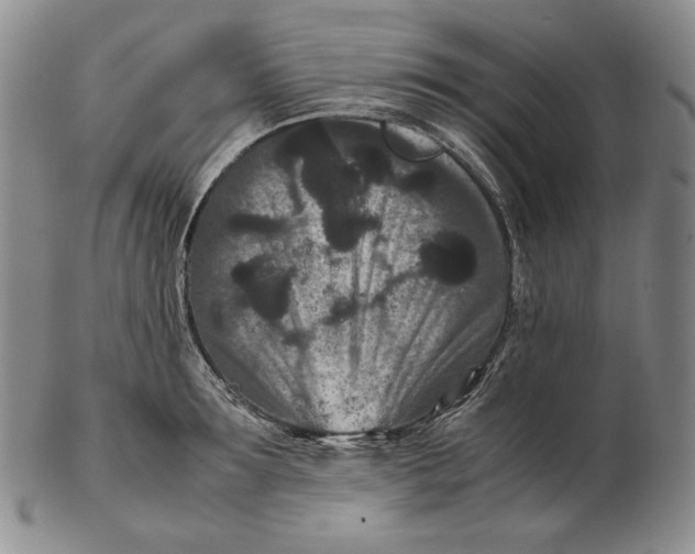 X0000102340899200808221628