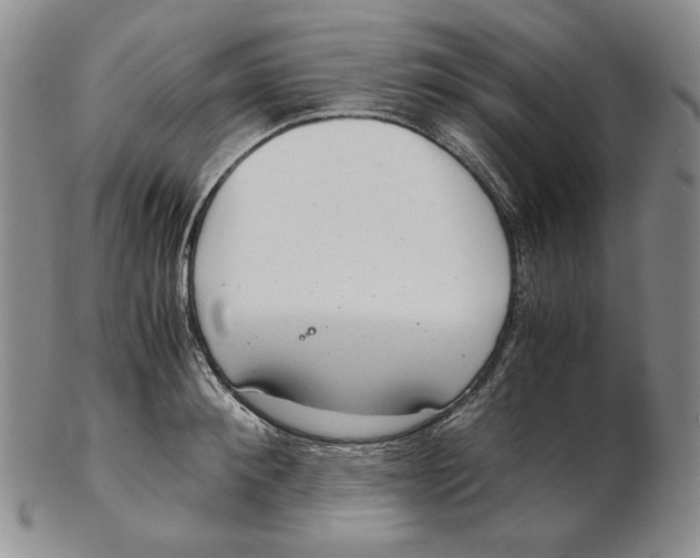 X0000102340900200808221628