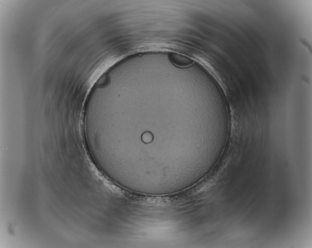 X0000102340901200808221628