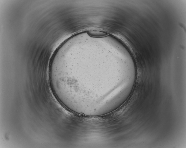 X0000102340902200808221628