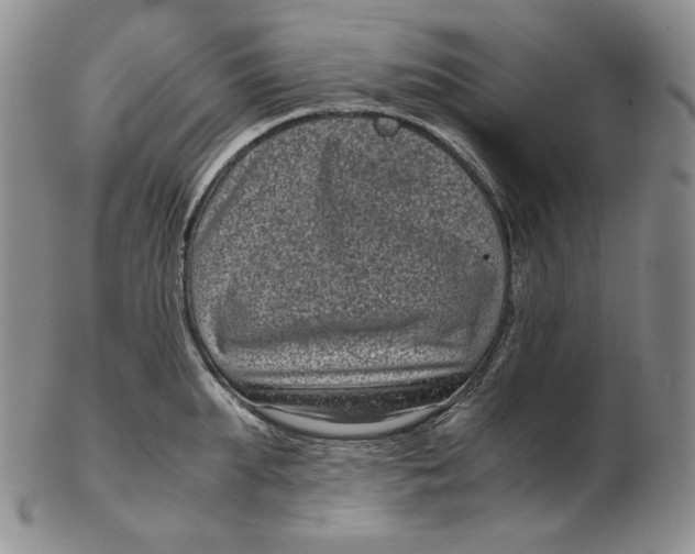 X0000102340903200808221628