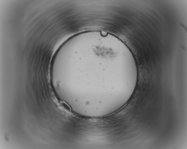 X0000102340904200808221628