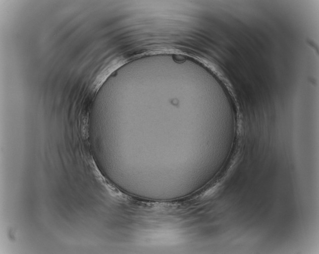 X0000102340905200808221628