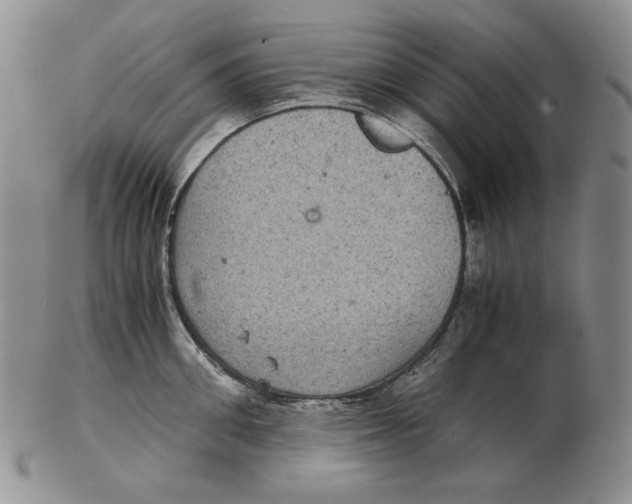 X0000102340906200808221628