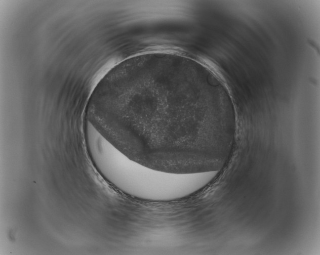 X0000102340907200808221628