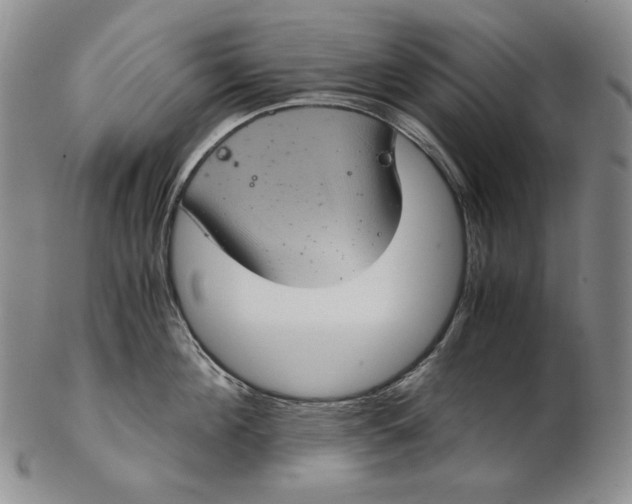 X0000102340908200808221628