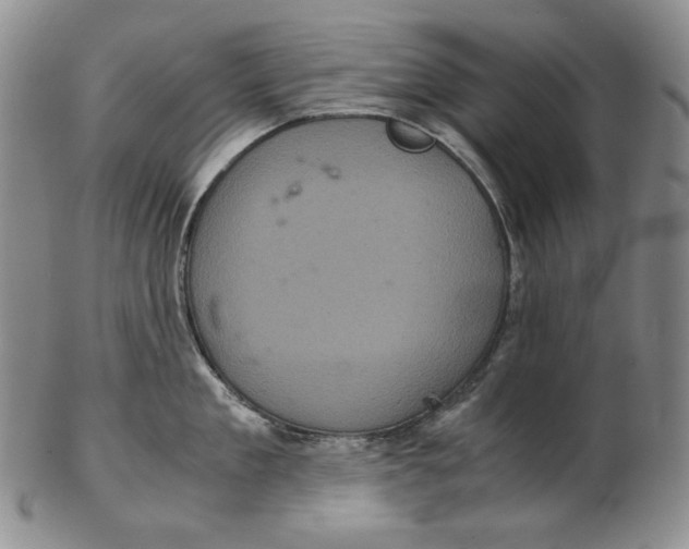 X0000102340909200808221628