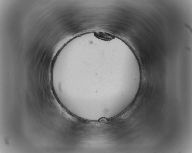 X0000102340910200808221628