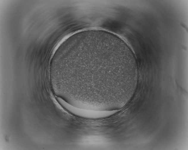 X0000102340911200808221628