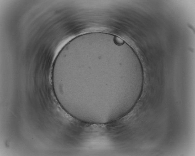 X0000102340912200808221628