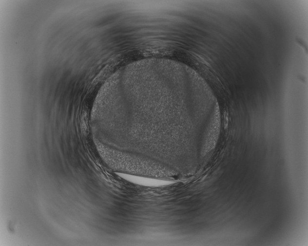 X0000102340915200808221627