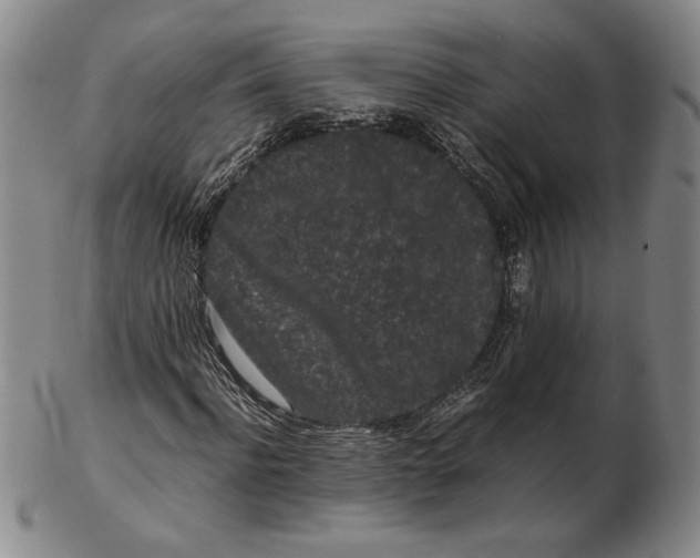 X0000102340916200808221627