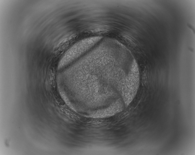 X0000102340917200808221627