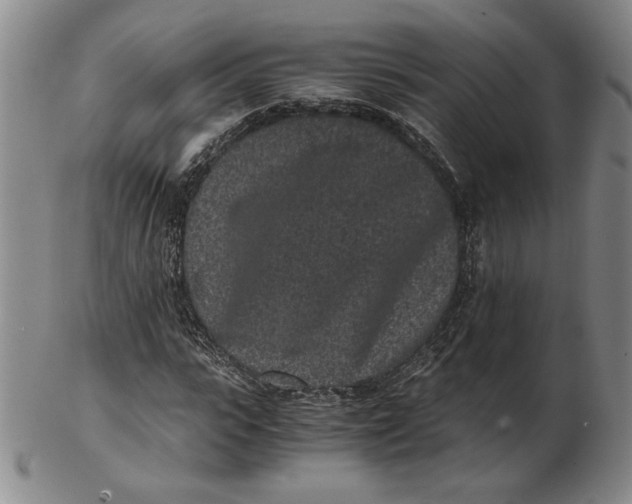 X0000102340919200808221627