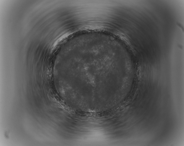 X0000102340920200808221627