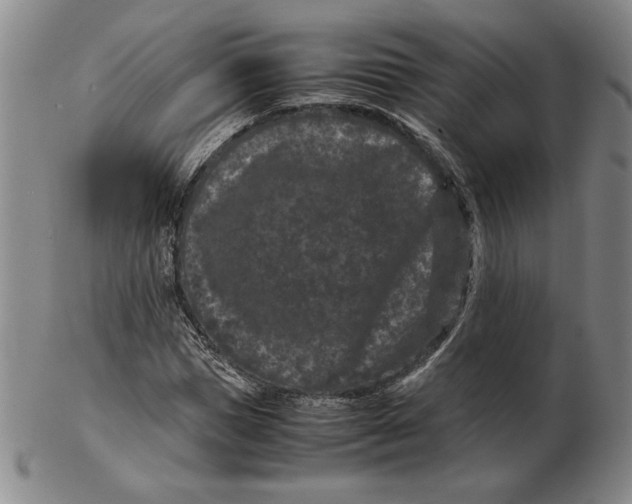 X0000102340921200808221627