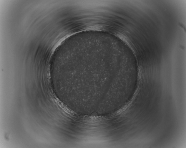 X0000102340923200808221627