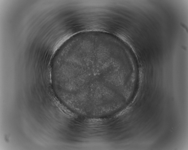 X0000102340925200808221627