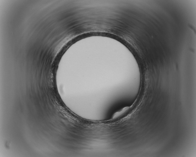 X0000102340926200808221627