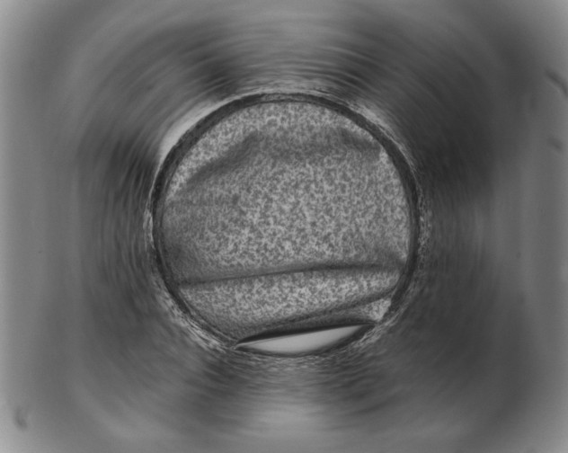 X0000102340928200808221627