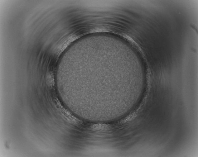 X0000102340929200808221627