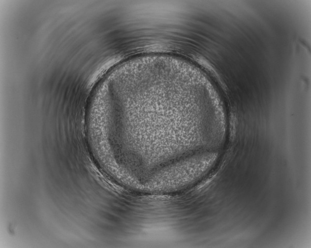 X0000102340930200808221627