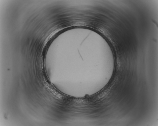 X0000102340931200808221627