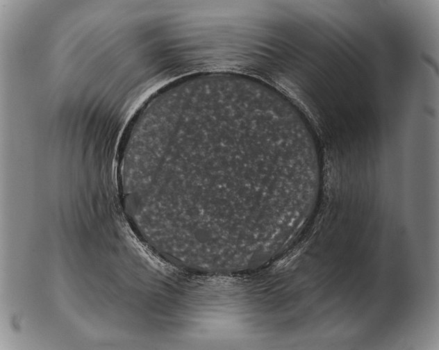 X0000102340932200808221627