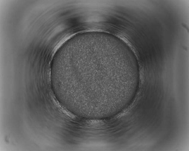 X0000102340933200808221627