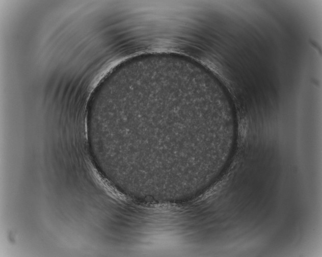 X0000102340934200808221627