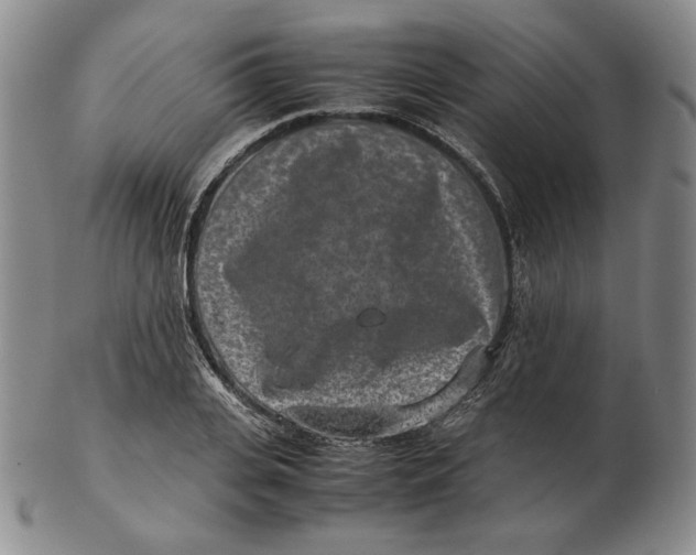 X0000102340935200808221627