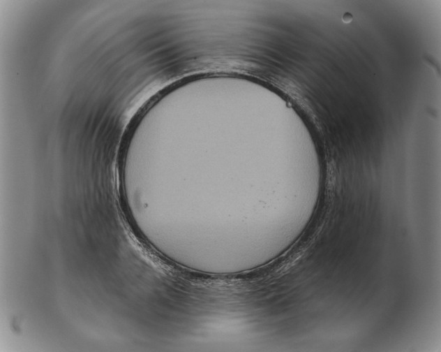 X0000102340936200808221627