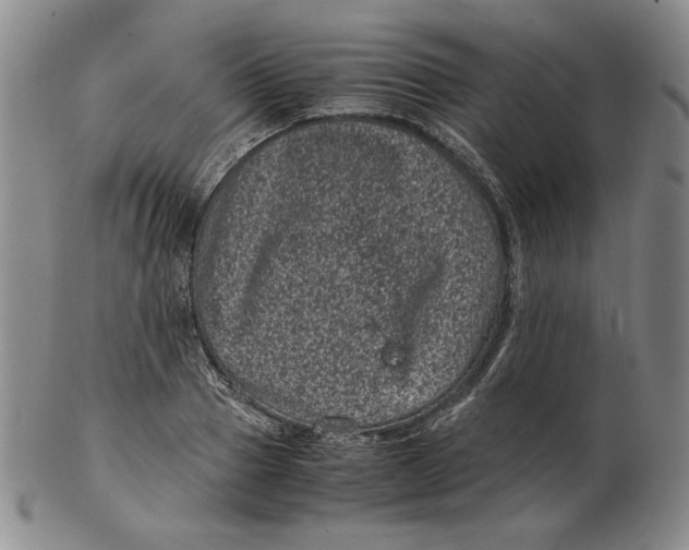 X0000102340937200808221627