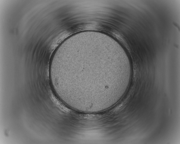 X0000102340938200808221627